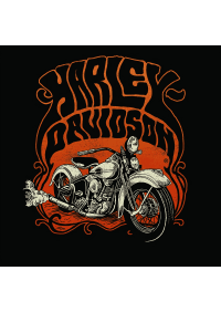 vintage Gasoline Bandit